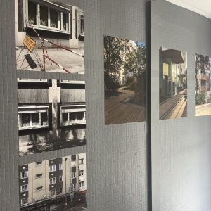 IMG_1105